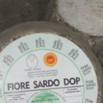 Foto del profilo di stefano